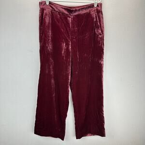 NWT J. Crew Pull On Peyton Velvet Pants Red 14T